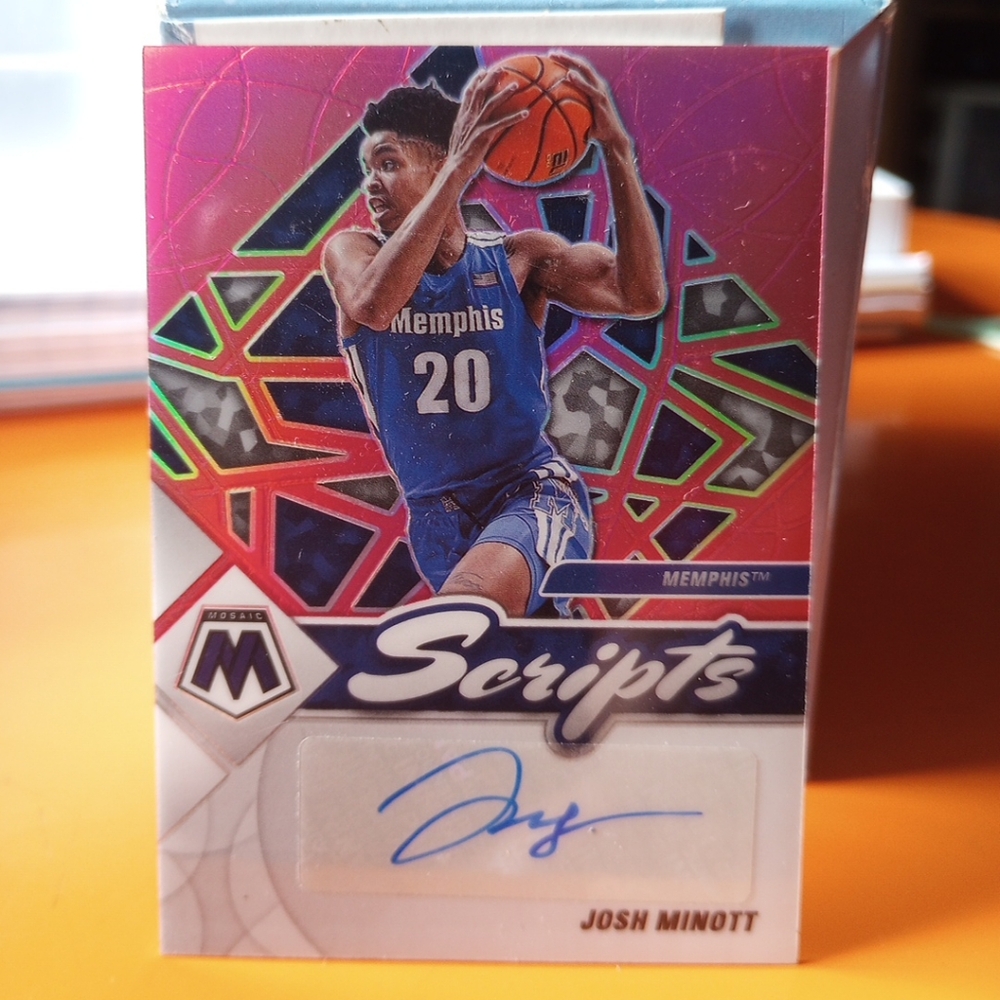 Panini Mosaic Basketball Card Pink and Blue